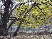 wp14d0503b_02.jpg