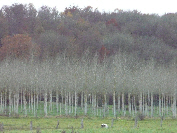 wp69c3f305_02.jpg